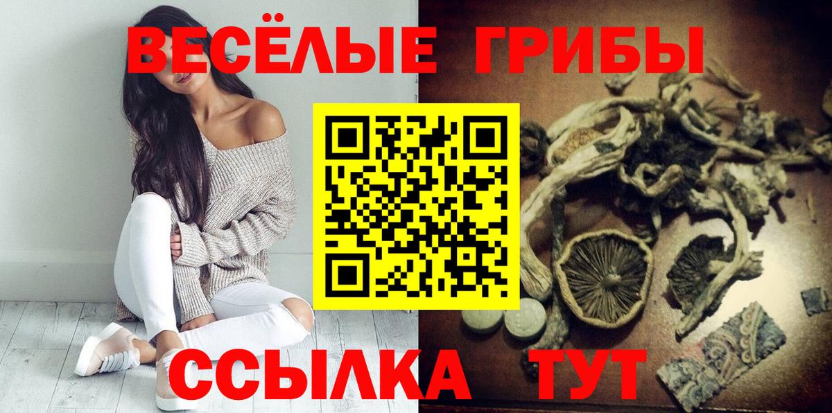 Псилоцибиновые грибы Psilocybe Богородск